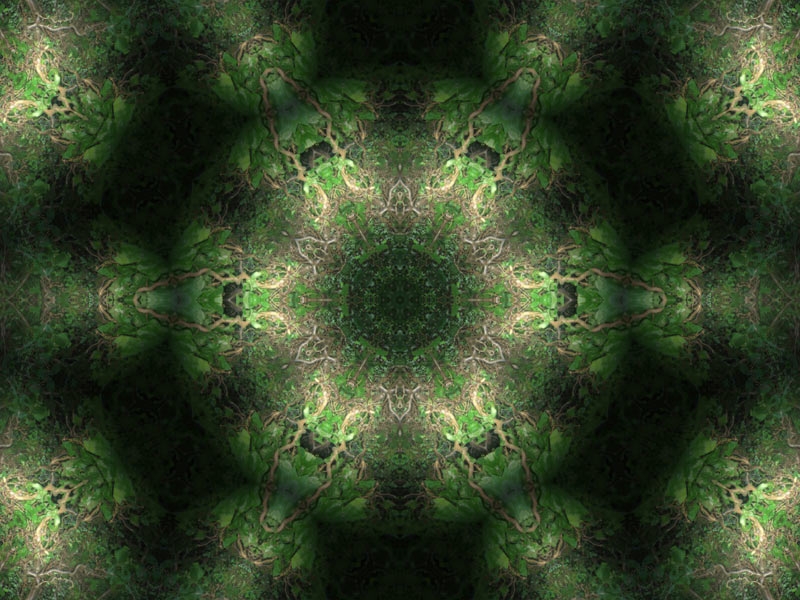 Natur Kaleidoskop