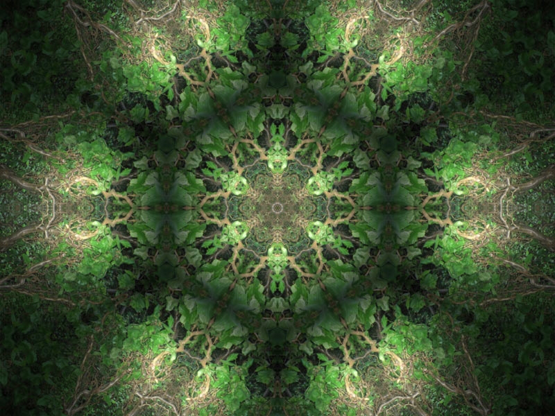 Natur Kaleidoskop