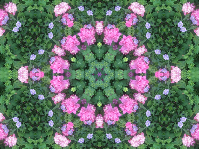 Natur Kaleidoskop