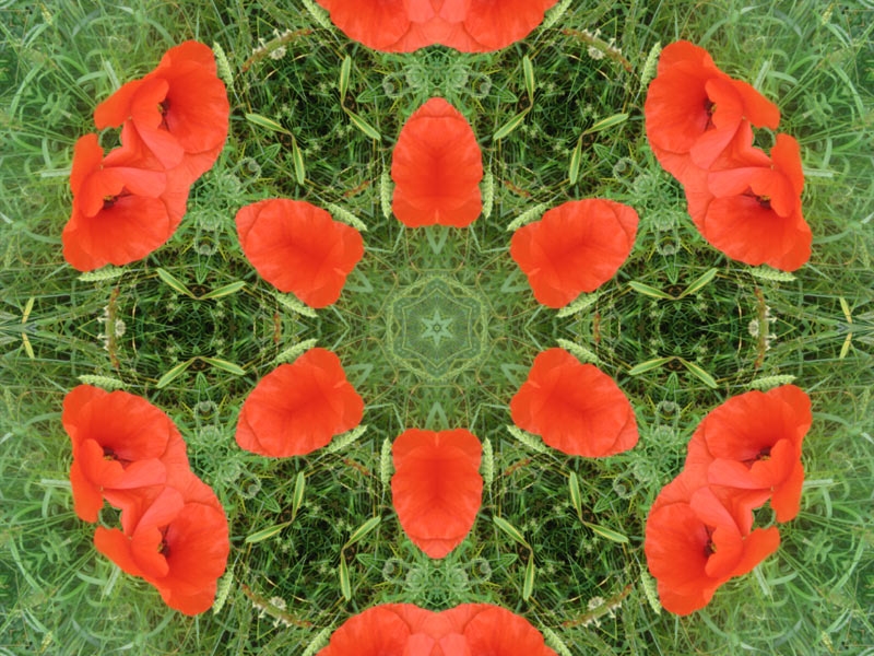 Natur Kaleidoskop