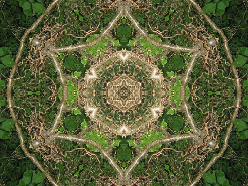 Natur Kaleidoskop