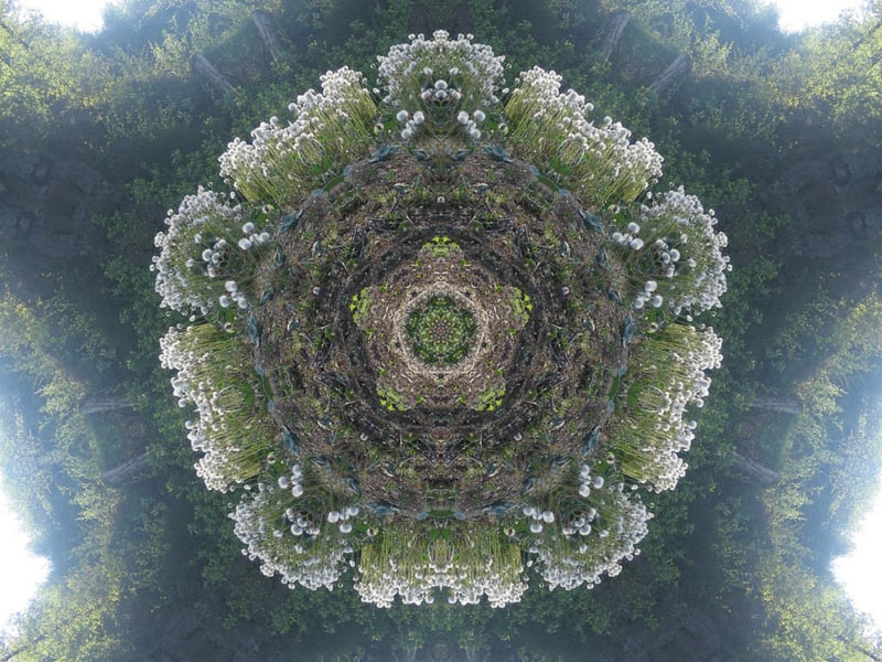 Natur Kaleidoskop